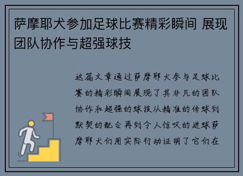 萨摩耶犬参加足球比赛精彩瞬间 展现团队协作与超强球技