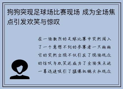 狗狗突现足球场比赛现场 成为全场焦点引发欢笑与惊叹